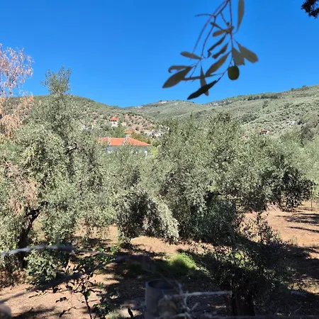 Feriehus On The Rock *